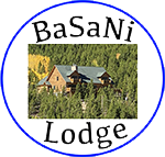 BaSaNi Logo